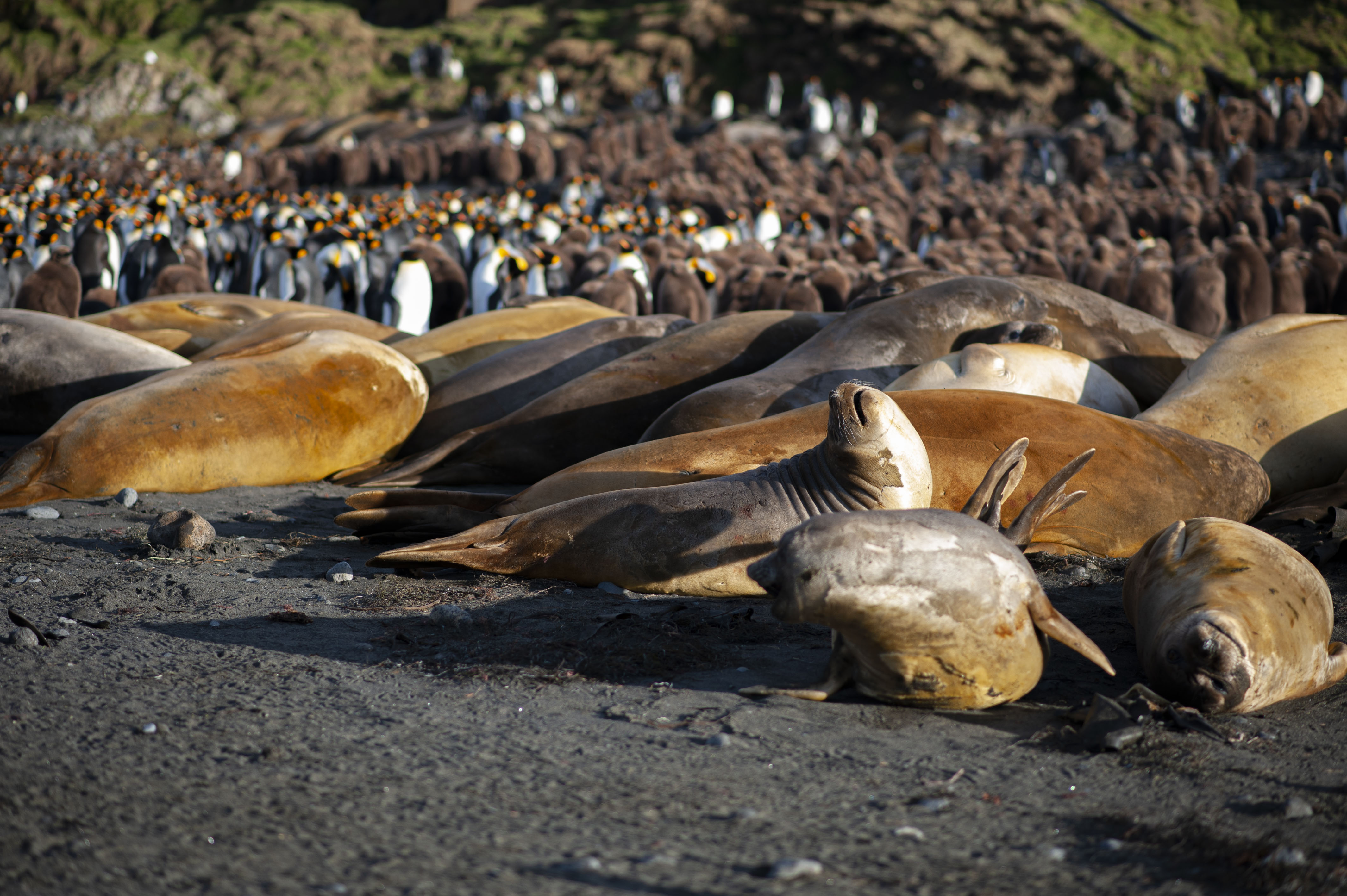 GYT 20220701 135426  DSC6286